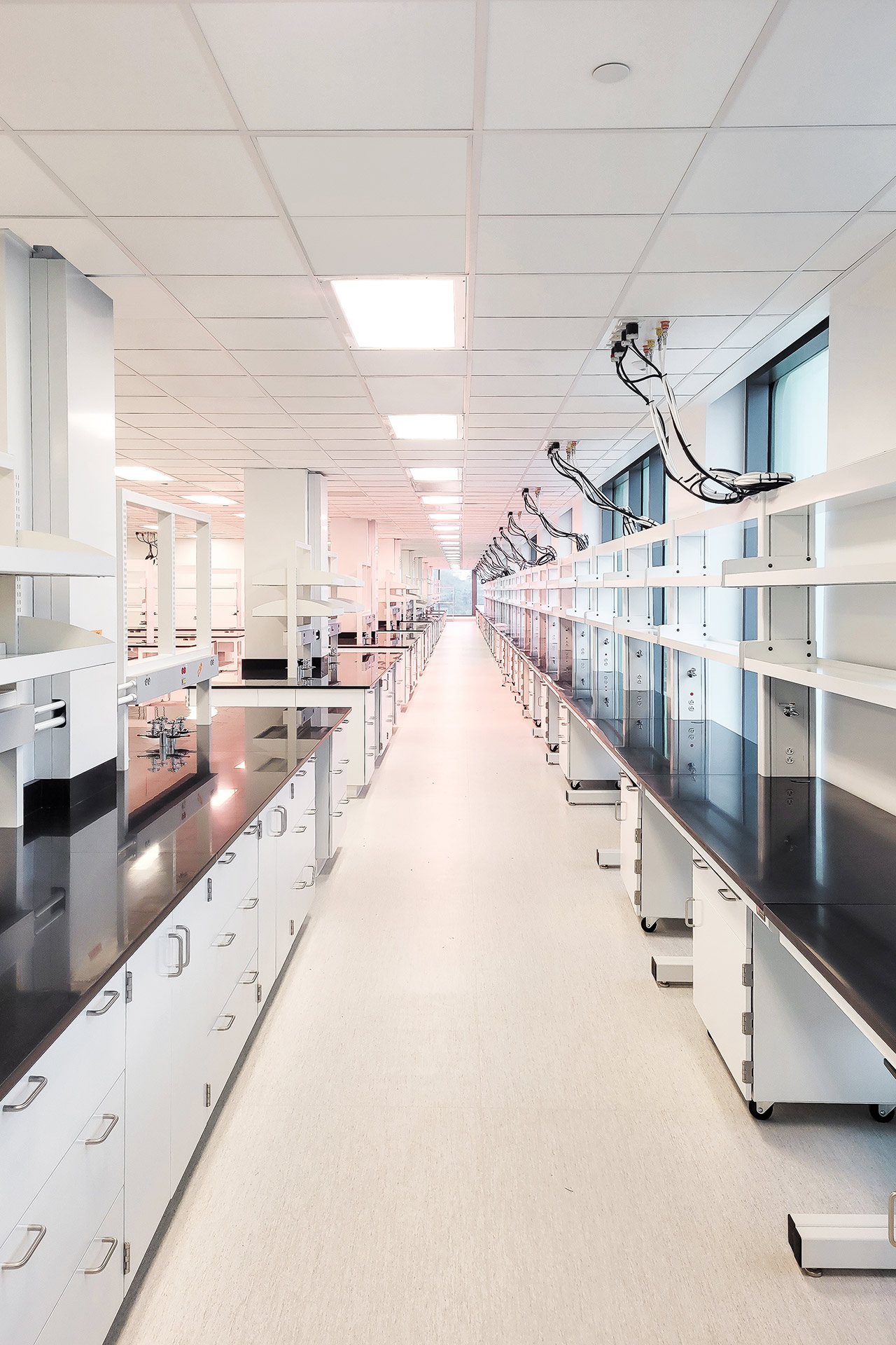 Interior laboratory of BD Biosciences Torry View